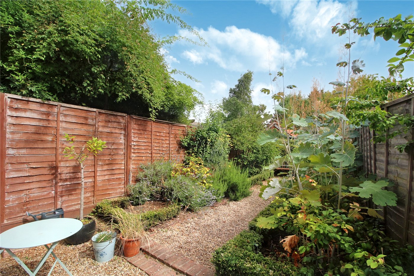 Garden